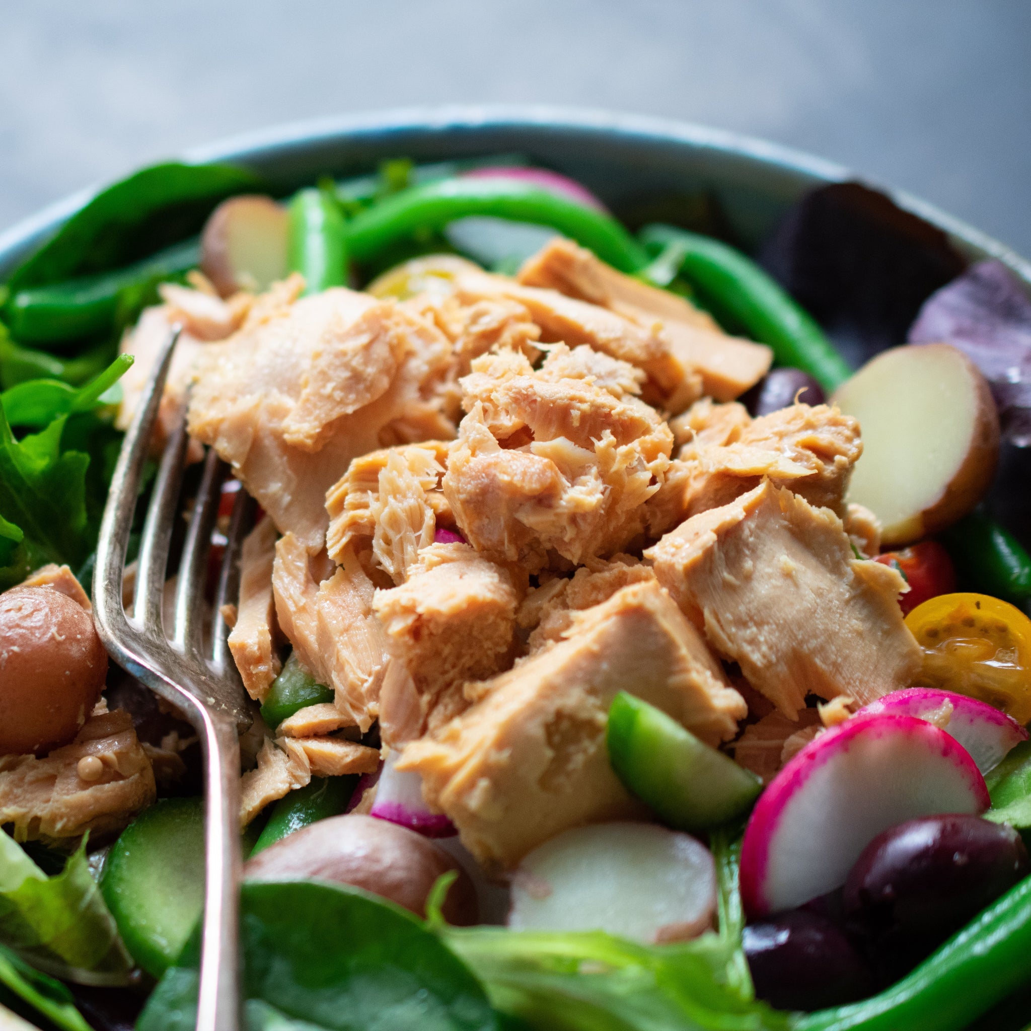 Milk Street Store - Community Supported Fishery CS Fishery Oregon Albacore Tuna