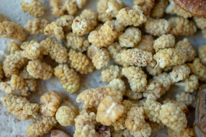 Dried White Hindu Kush Mulberries